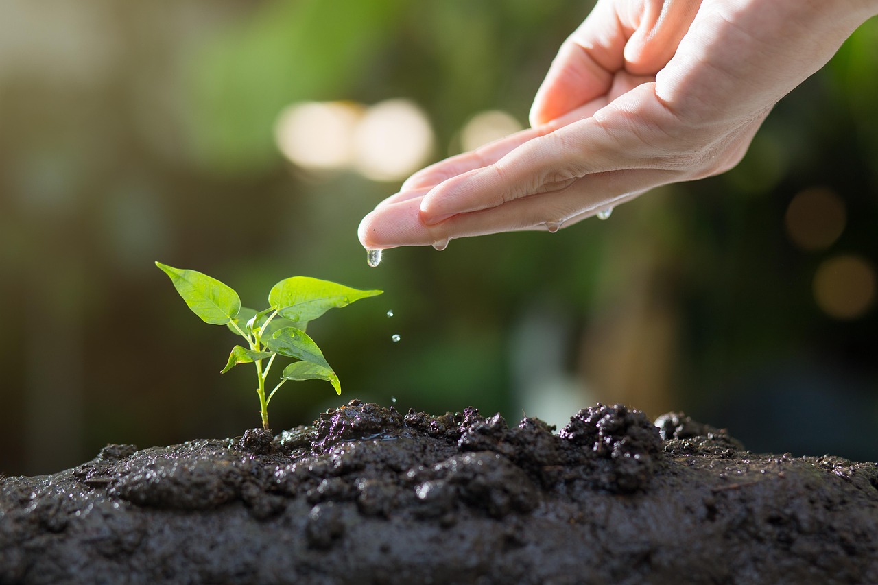 Travaux de jardinage et potager en automne : S'équiper efficacement pour affronter la terre humide et la pluie
